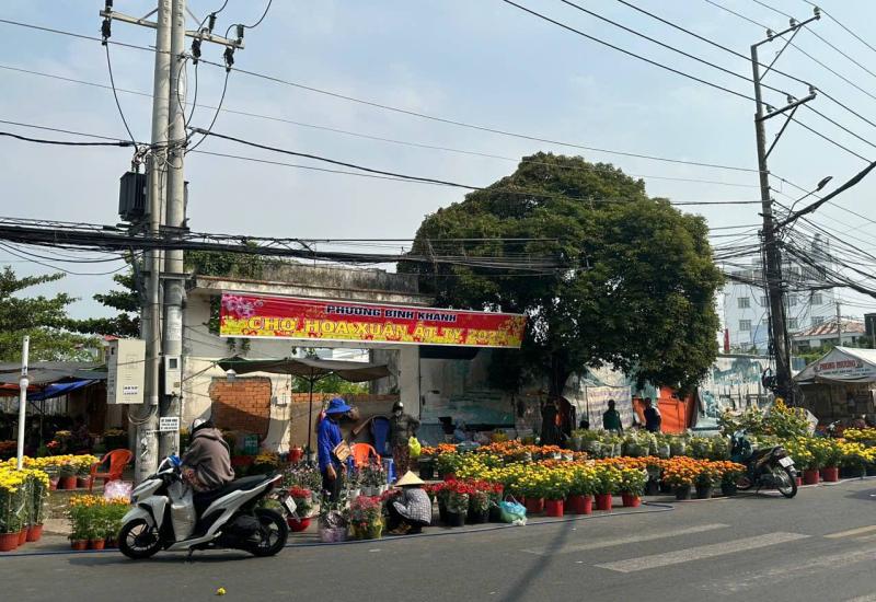 CHỢ HOA XUÂN BÌNH KHÁNH